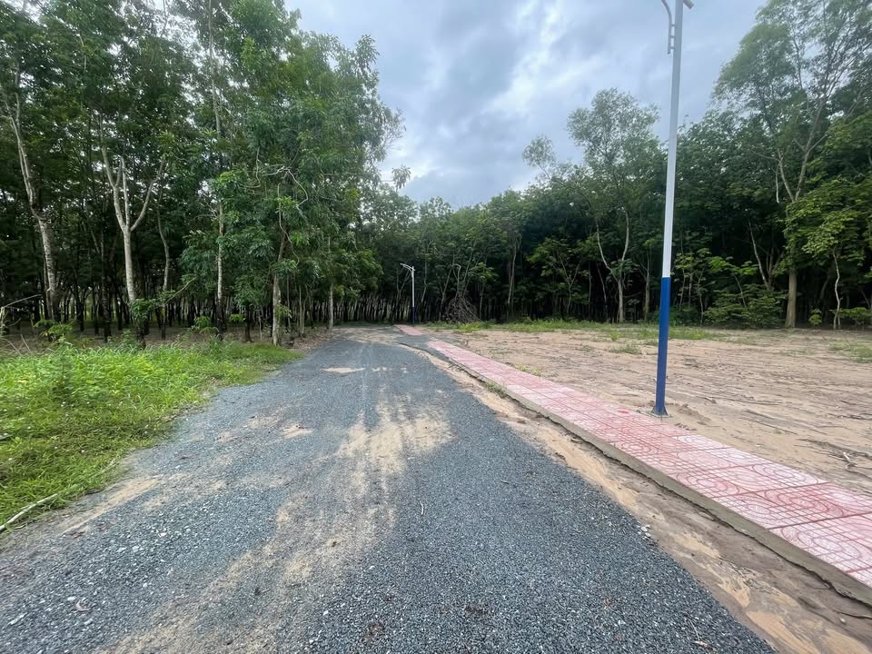 Đất nền sổ đỏ 550m² tại phường Minh Thành, thị xã Chơn Thành - Chỉ 599 triệu!