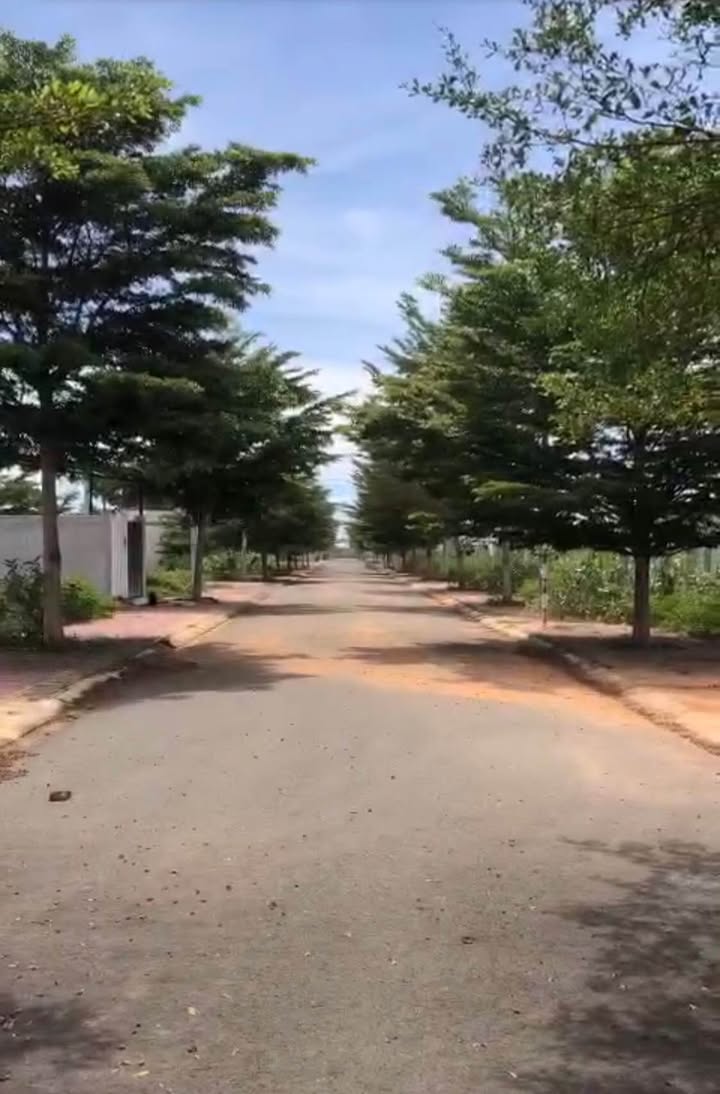 Đất thổ cư đường nhựa lề Hàm Thắng 97,7m² giá 740 triệu - Đầu tư hiệu quả!