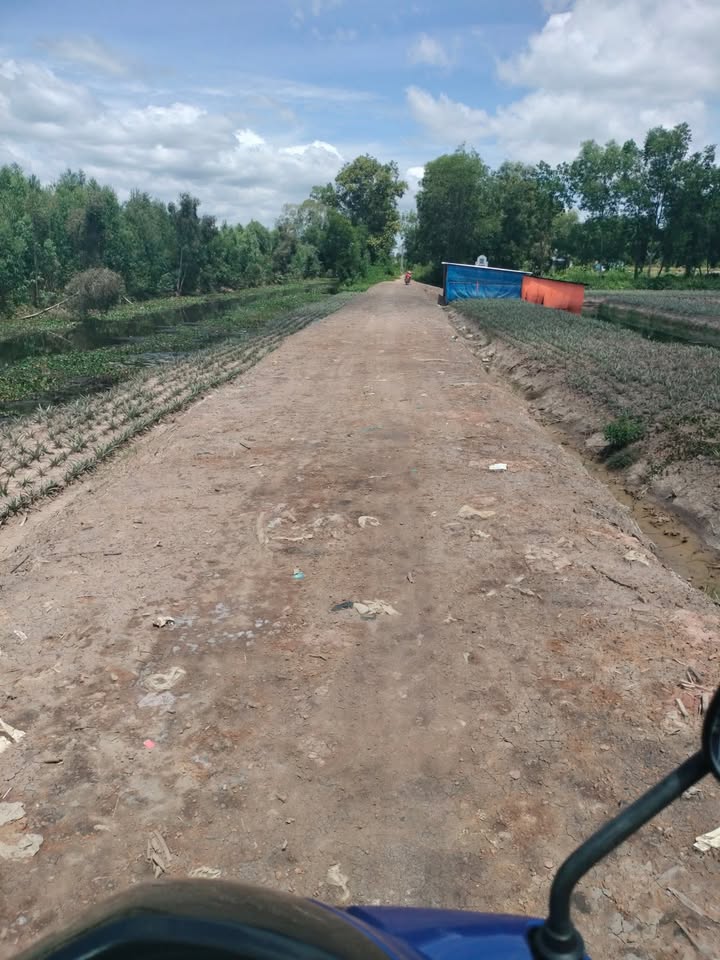 Đất nền Tân Lập 2, huyện Tân Phước, 14 công giá 994 triệu - Pháp lý rõ ràng, đầu tư sinh lời