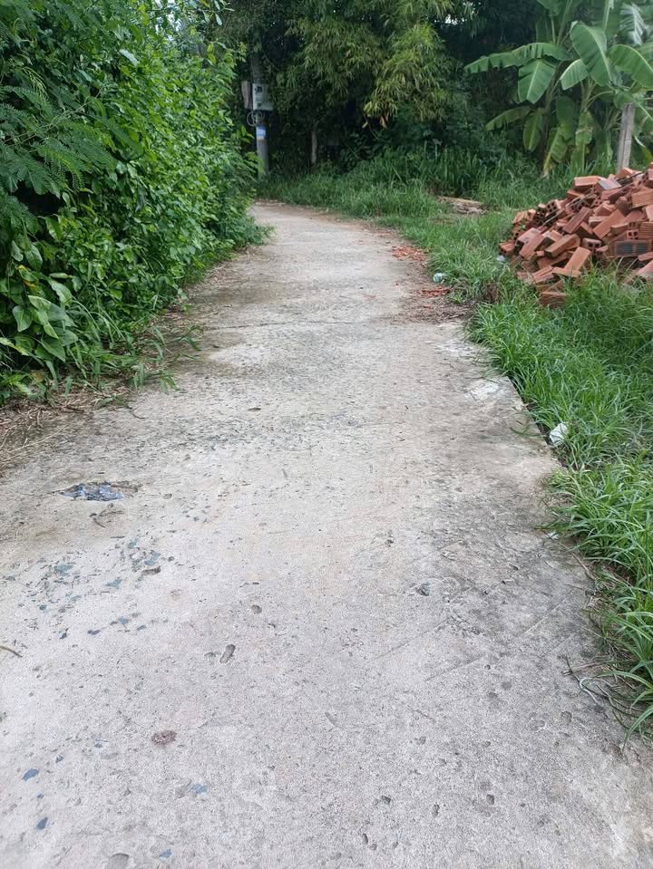 Đất nền Tân Hương, Châu Thành 150m² giá 360 triệu - Cơ hội đầu tư hấp dẫn!