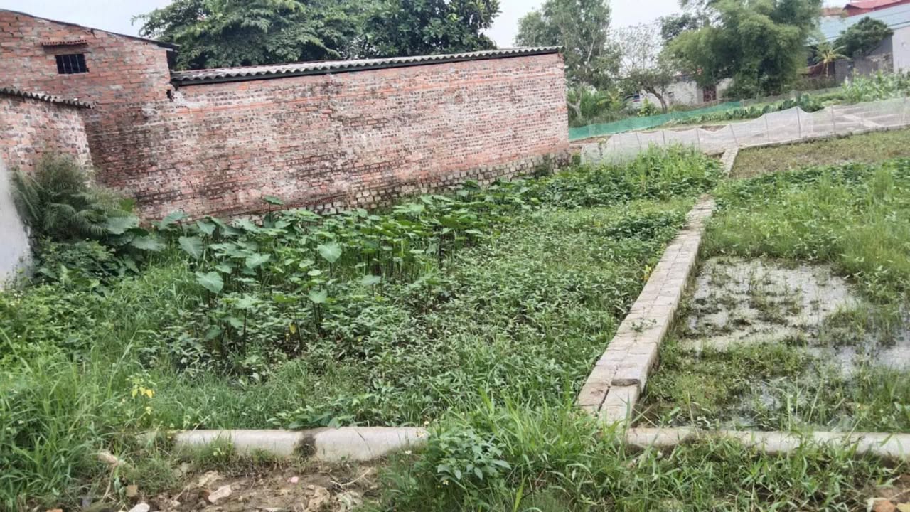 Đất nền khu phố Trại Tròn, phường Cách Bi, 93m² giá chỉ 1 tỷ - Cơ hội đầu tư hấp dẫn!