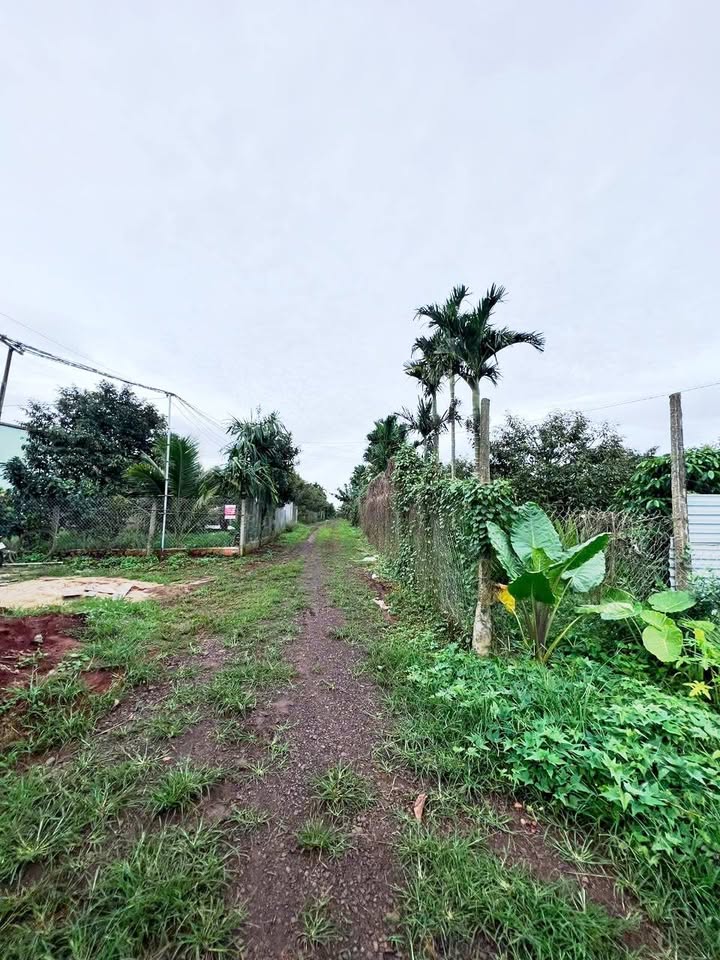 Đất hẻm Hoàng Quốc Việt, Buôn Hồ, Đắk Lắk 270m² giá 620 triệu - Đầu tư sinh lời hấp dẫn!