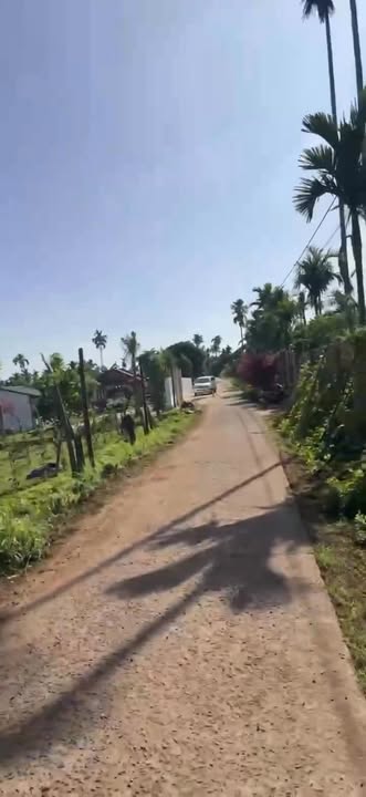 Đất nền Phú Xuân 690m² giá chỉ 70 triệu - Vị trí thuận lợi, trồng cây ăn trái