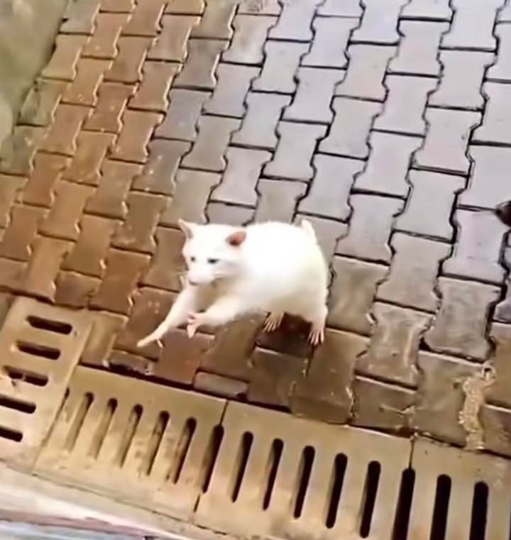 Nhà cho thuê mặt tiền Phan Đăng Lưu, 64m² giá 25 triệu - Lợi nhuận ổn định 25 triệu/tháng!