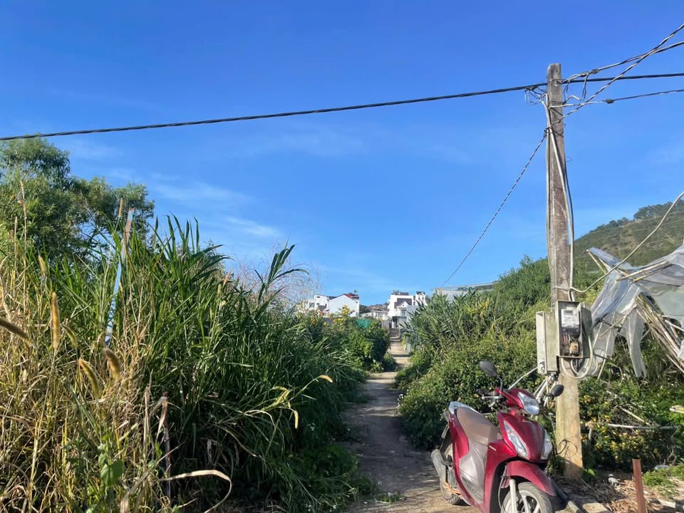 Đất nền Lâm Viên Đà Lạt 300m² giá 2.3 tỷ - Đường ô tô, gần chợ và trường học!