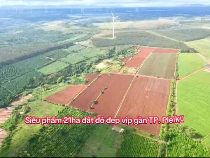 Đất nền 10.000m² tại Pleiku, Gia Lai - Giá chỉ 1,2 tỷ - Gần Quốc lộ 14!