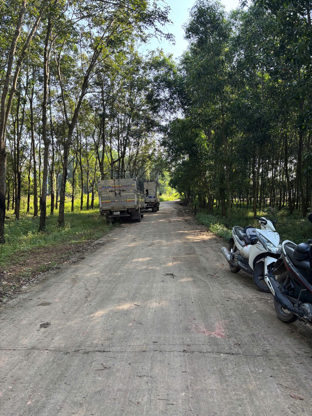 Đất thổ cư 100m² Đồi 61, Trảng Bom chỉ 850 triệu - Đầu tư sinh lời ngay!