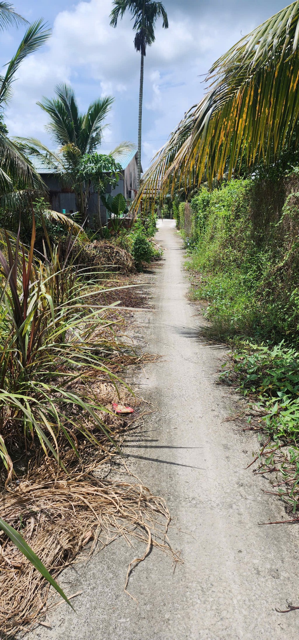 Bán nền thổ cư xã Tân Trụ 105,5m² giá 380 triệu - Đầu tư sinh lời ngay!