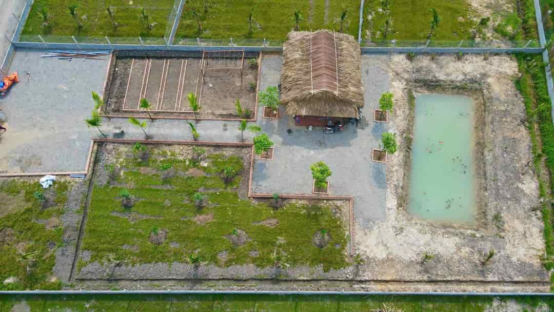 Đất vườn Gò Dầu, Tây Ninh 1.000m² giá chỉ 1.2 tỷ - Cơ hội đầu tư sinh lời!