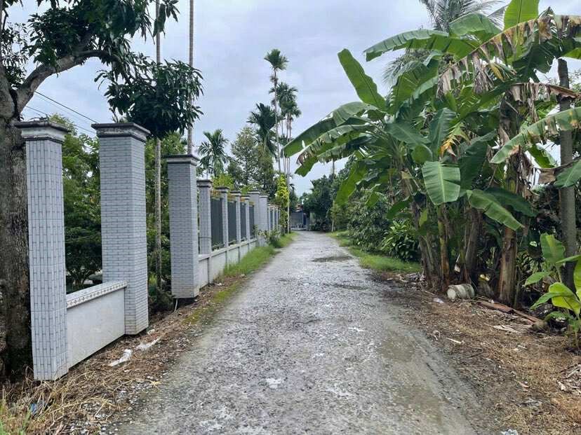 Đất nền 2.500 m² tại Nhơn Lộc 2A, Phong Điền, Cần Thơ - Giá chỉ 6.25 tỷ!