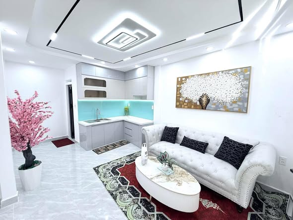 Biệt thự mới xây trên đường Âu Cơ quận 6, diện tích 90m² chỉ 4.75 tỷ - Sẵn sàng vào ở!