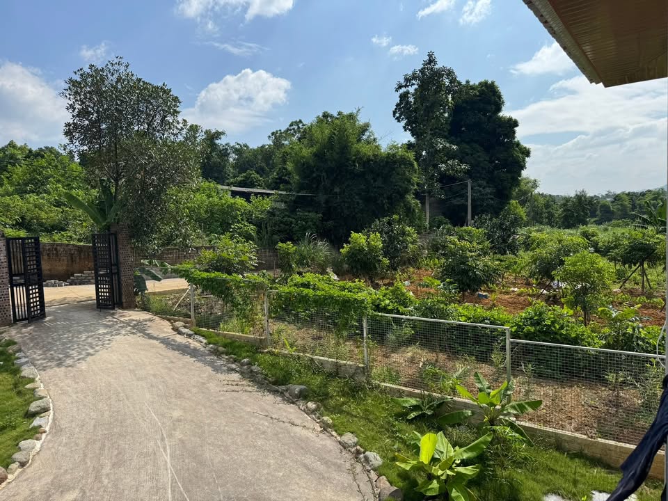 Đất nền Kim Sơn, Đông Triều, 306m² giá 43 triệu/m² - Đầu tư sinh lời hấp dẫn!