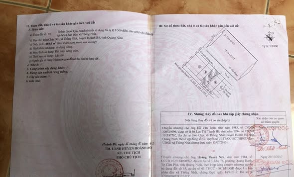 Đất mặt đường 337, Hạ Long 250m² giá 4 tỷ - Tiềm năng kinh doanh lớn!