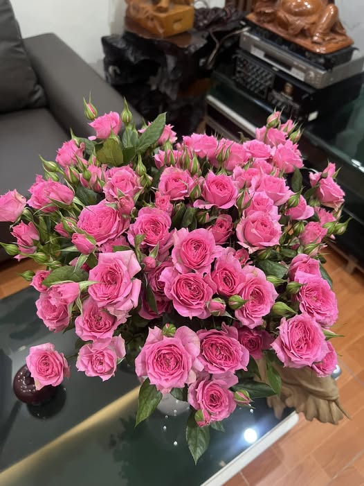 Nhà 2 tầng tại phường Nông Trang, Việt Trì 178m² giá 3.95 tỷ - Gần chợ và trường học!