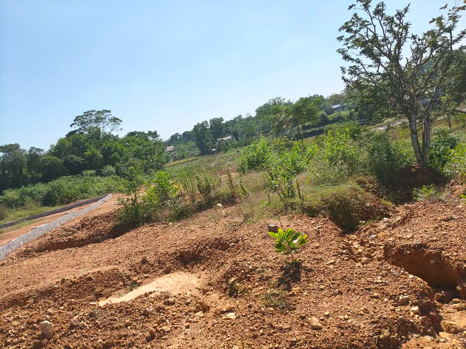 Đất nền Phúc Trìu Thái Nguyên 520m² giá thỏa thuận - Tiềm năng phát triển vượt trội!