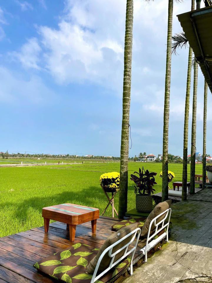 Đất nền An Mỹ 200m² - View cánh đồng lúa đẹp - Cơ hội đầu tư hiếm có!