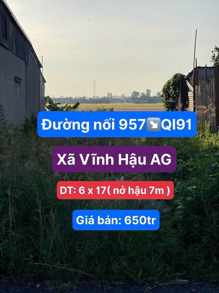 Đất nền 102m² tại Xã Vĩnh Hậu, An Giang - Giá chỉ 650 triệu!