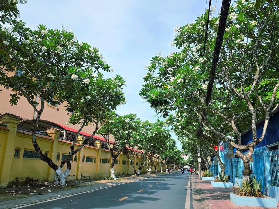 Đất nền dự án Ninh Kiều mặt tiền đường Hoàng Quốc Việt 191.9m² giá 12 tỷ - Cơ hội đầu tư hấp dẫn!