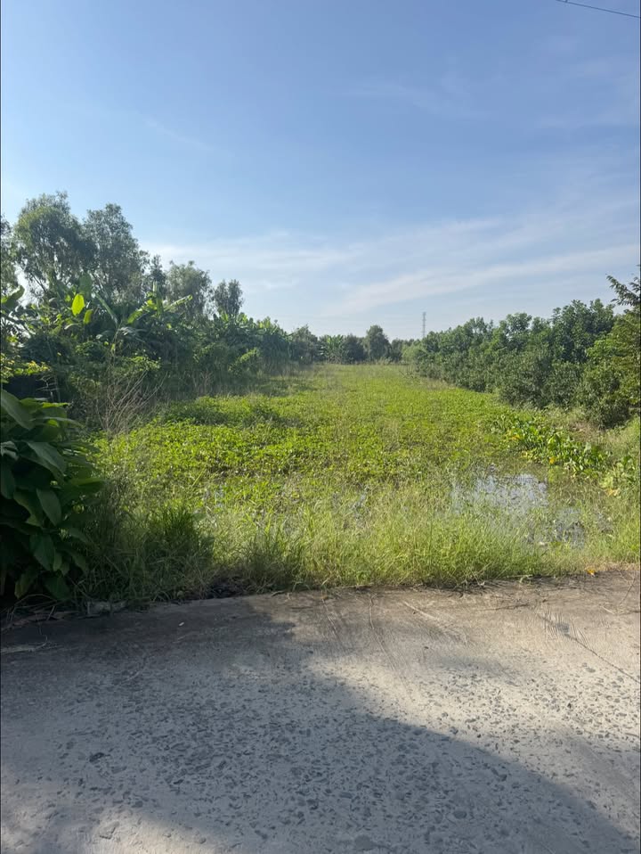 Đất Nền Phước Thới - Cần Thơ 2000m² giá 1 tỷ - Pháp lý rõ ràng