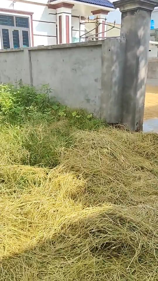 Đất nền Đông Hoàng Tiền Hải 300m² - Hướng Đông Nam, cơ hội đầu tư tuyệt vời!