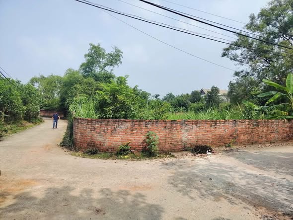 Đất nền Trại Hồ, Sơn Tây 1344m² - Đầu tư sinh lời ngay!