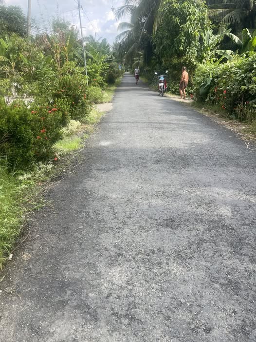 Đất mặt tiền đường tỉnh lộ 939 huyện Mỹ Tú 1170m² giá chỉ 40 triệu/m ngang - Cơ hội đầu tư sinh lời!