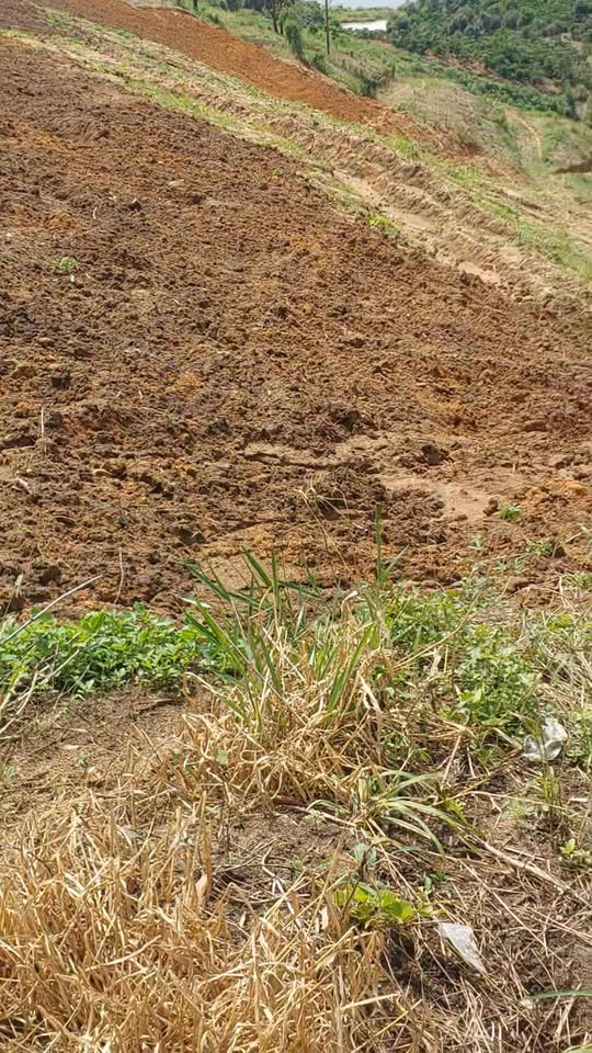 Đất Tân Thanh 9000m² giá 1.3 tỷ - Cơ hội đầu tư hấp dẫn!