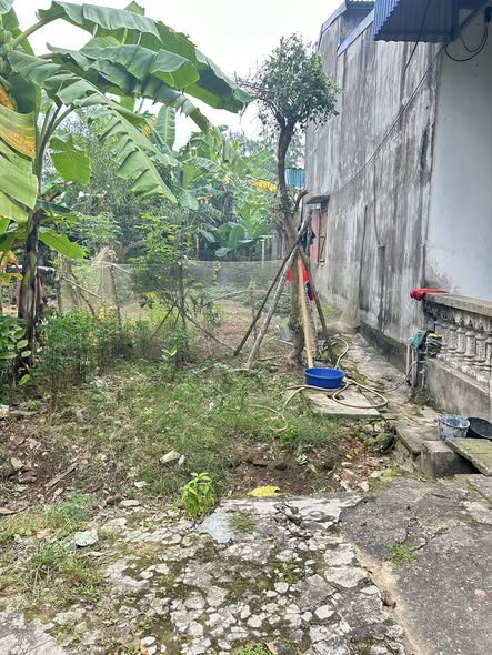 Đất thổ cư An Khánh 200m² - Giá chỉ vài trăm triệu, cơ hội đầu tư hấp dẫn!