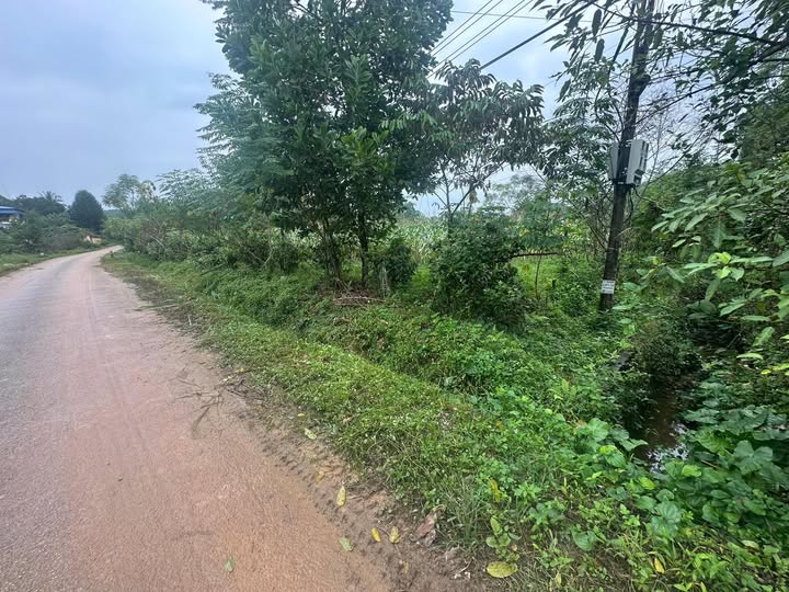 Đất nền An Khánh, Đại Từ, Thái Nguyên 200m² giá 800 triệu - Mặt tiền 7.3m, đầu tư sinh lời!