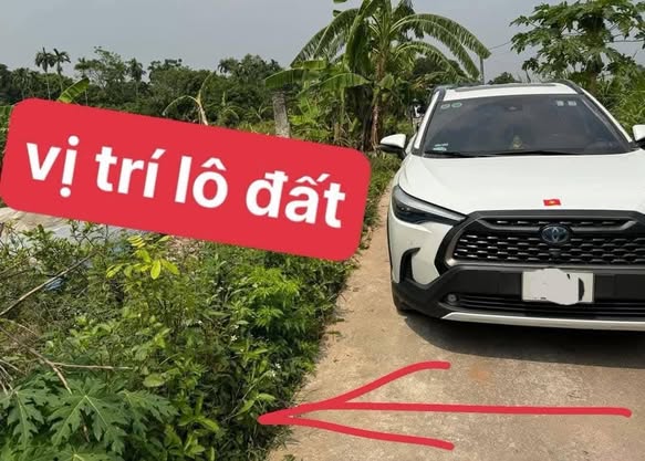 Đất mặt tiền 2 mặt đường xã Bình An 120m² giá chỉ 800 triệu - Đầu tư sinh lời ngay!