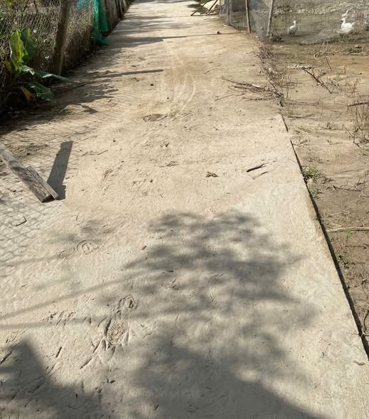 Đất nền Điện Bàn 250m² giá 1.8 tỷ - Đầu tư sinh lời ngay!