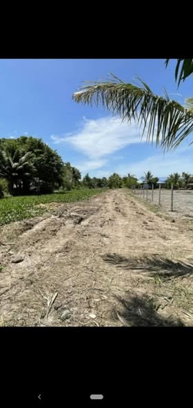 Đất nền Trần Nguyên Hãn, Vĩnh Lợi 305m² - Giá chỉ 700 triệu!