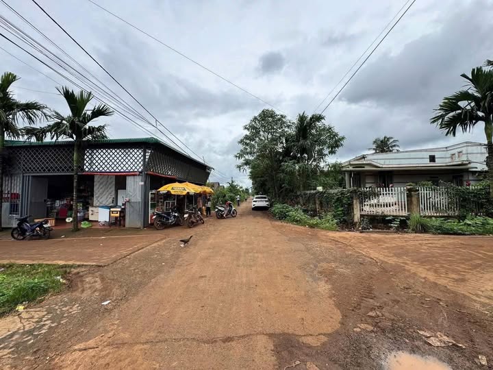 Đất nền kinh doanh 240m² tại Krông Pắc, giá chỉ 490 triệu - Cơ hội đầu tư tuyệt vời!