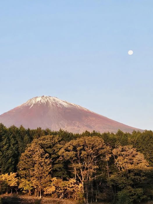 Căn hộ Midtown M6 Phú Mỹ Hưng 120m² giá 11.8 tỷ - View sông cực đẹp!