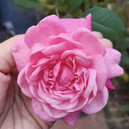 Đất nền Đại Lai Gia Bình 100m² giá 2 tỷ - Đầu tư sinh lời ngay!