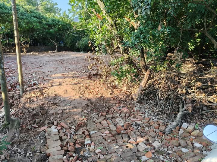 Đất Ngọc Lũ, Bình Lục, Hà Nam 643m² - Cơ hội đầu tư hấp dẫn!