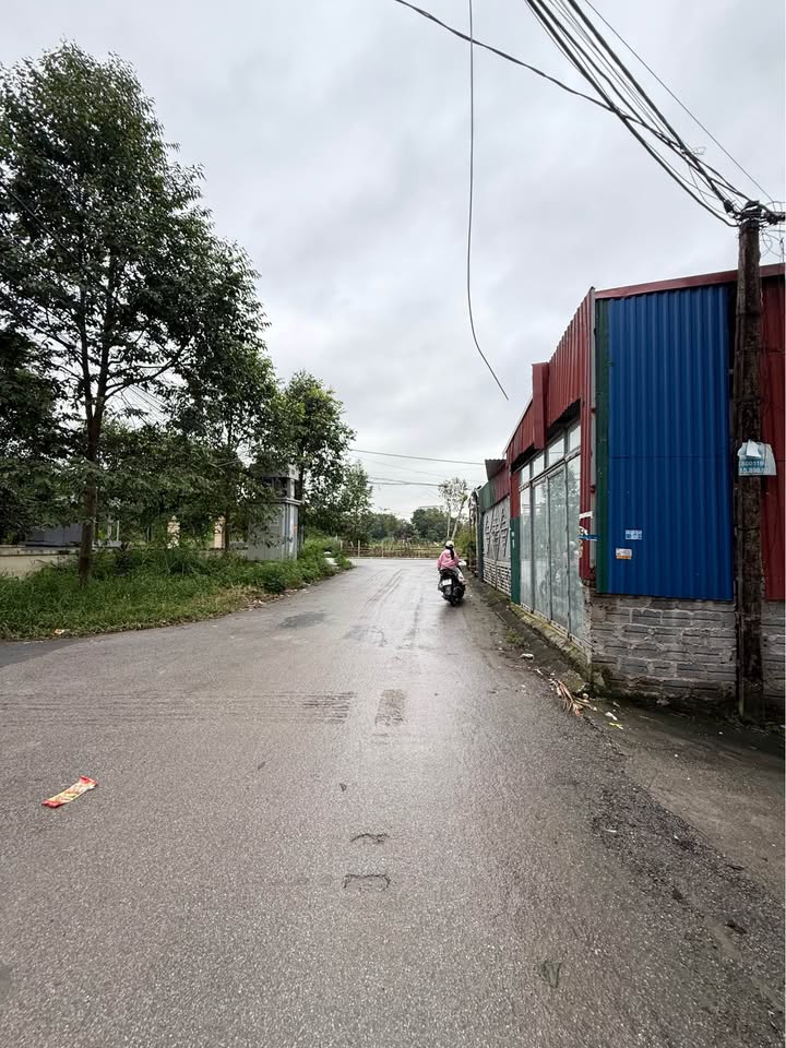 Nhà cấp 4 gần công viên nước Đông Hương, Thanh Hóa 60m² giá 1 tỷ - Thỏa thuận ngay hôm nay!