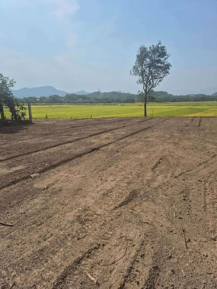 Đất nền Bà Nà Đà Nẵng 1000m² giá 2 tỷ - Cơ hội đầu tư hiếm có!