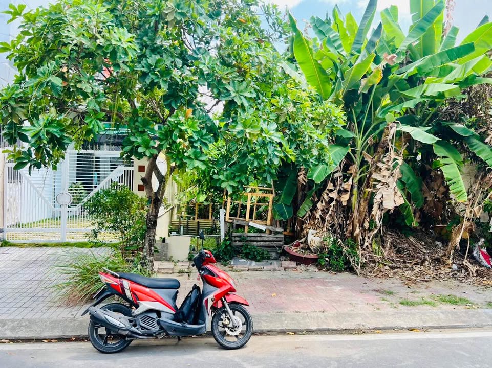 Đất nền mặt tiền đường Phan Đình Giót, Cà Mau 108m² giá 1.8 tỷ - Cơ hội đầu tư lý tưởng!