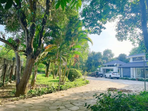 Bán khu nghỉ dưỡng sinh thái đẳng cấp Liên Sơn 13.000m² - Không gian xanh hiếm có!