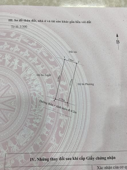Lô đất mặt đường xóm Thôn 10, Chính Mỹ 77m² giá 900 triệu - Cơ hội đầu tư hấp dẫn!