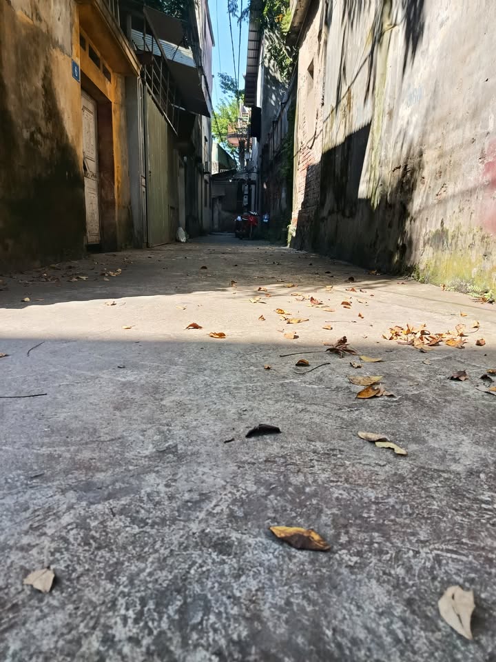 Đất nền Đồng Kỵ, Từ Sơn 81m² giá 1.85 tỷ - Cơ hội đầu tư hiếm có!