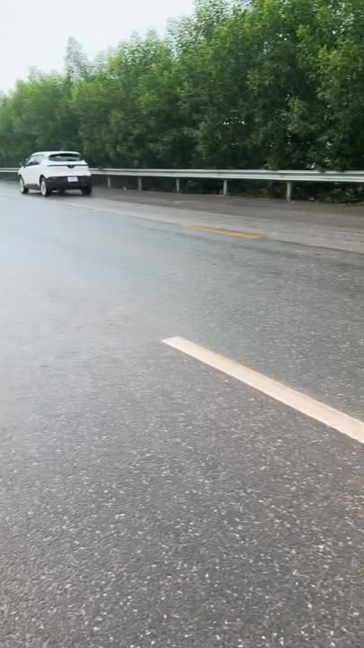 Đất nền QL 31, Lục Nam, Bắc Giang 81m² giá 3 tỷ - Vị trí đắc địa kinh doanh!