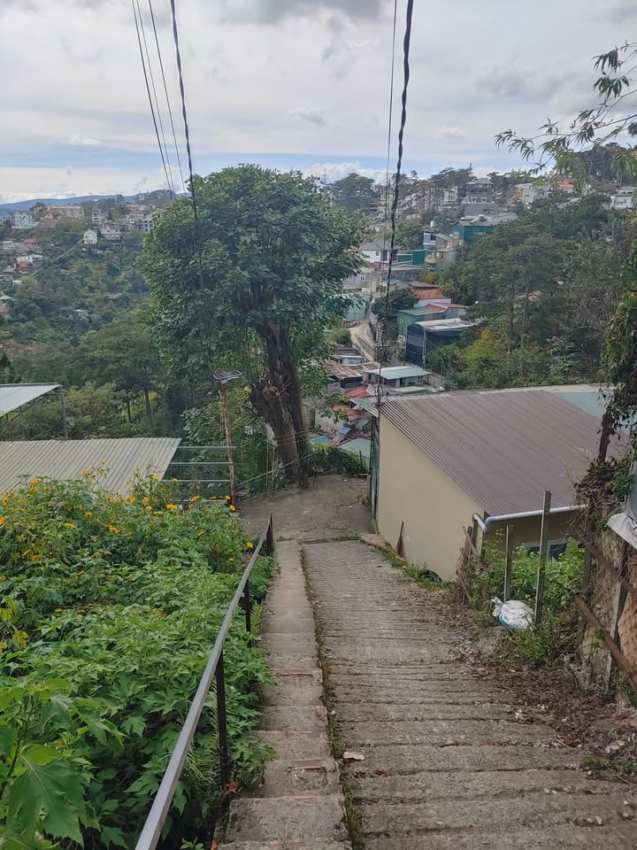 Đất bán Đà Lạt 200m² giá 1 tỷ - Sổ đỏ chính chủ, đường xe máy vào tận nơi!