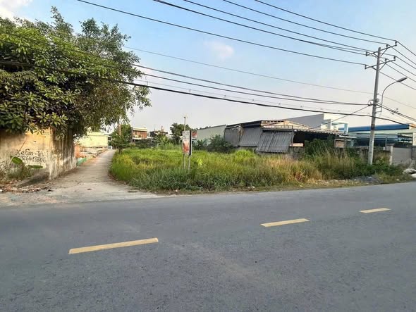Đất lô góc 2 mặt tiền Thanh Niên 500m² giá 8.2 tỷ - Vị trí đẹp, tiện ích xung quanh!