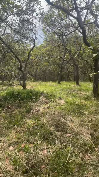 Đất nền Phước Tân 1,1ha giá 890 triệu - Cơ hội đầu tư tuyệt vời!