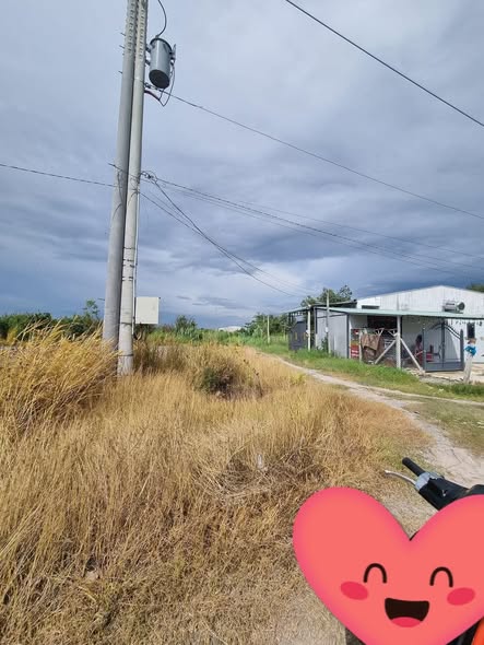 Đất vườn 1500m² tại phường Long Hoa, Tây Ninh - Giá 670 triệu, đầu tư sinh lời!