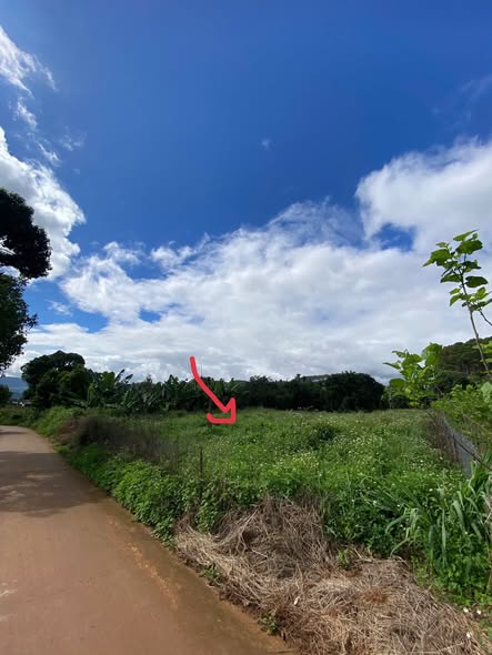 Đất nền Mê Linh Lâm Hà 1000m² giá 2.999 tỷ - Vị trí đẹp, đầu tư lý tưởng!