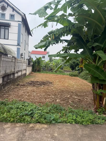 Đất nền phường Trung Thành 150m² giá 1 tỷ - Đầu tư sinh lời ngay!