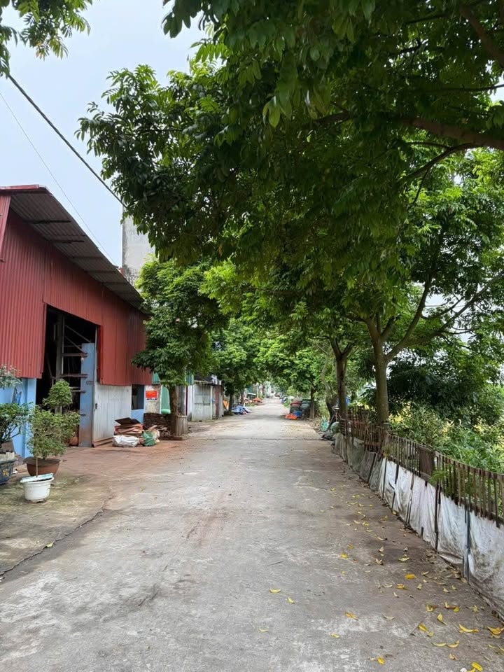 Đất nền Tam Sơn 60m² giá 1 tỷ - Cơ hội đầu tư hấp dẫn!